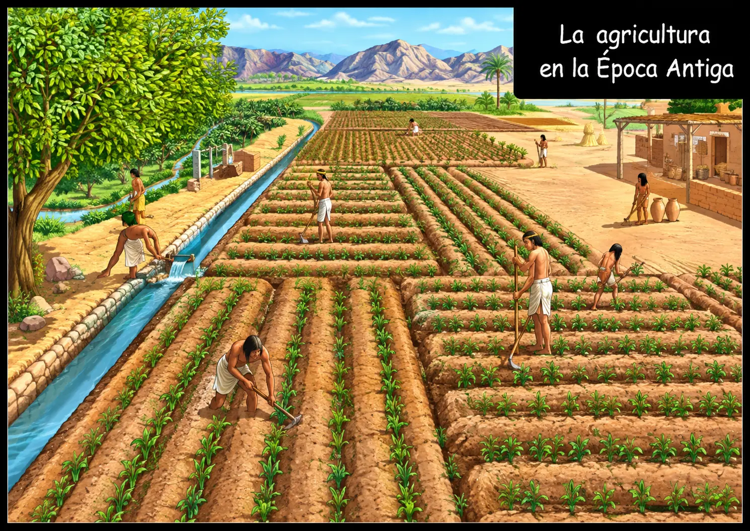 A agricultura mochica e o seu sistema de plantio e irrigação