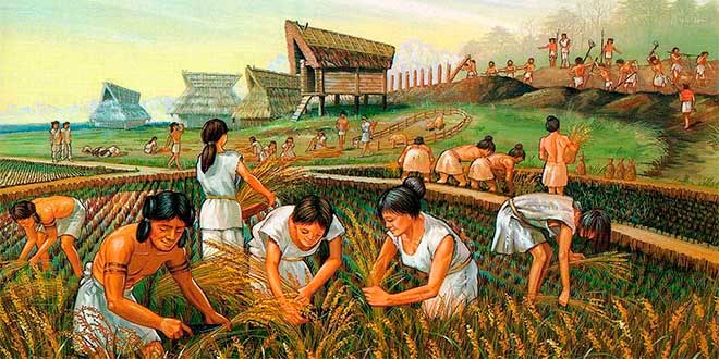 Agricultura e irrigação artificial